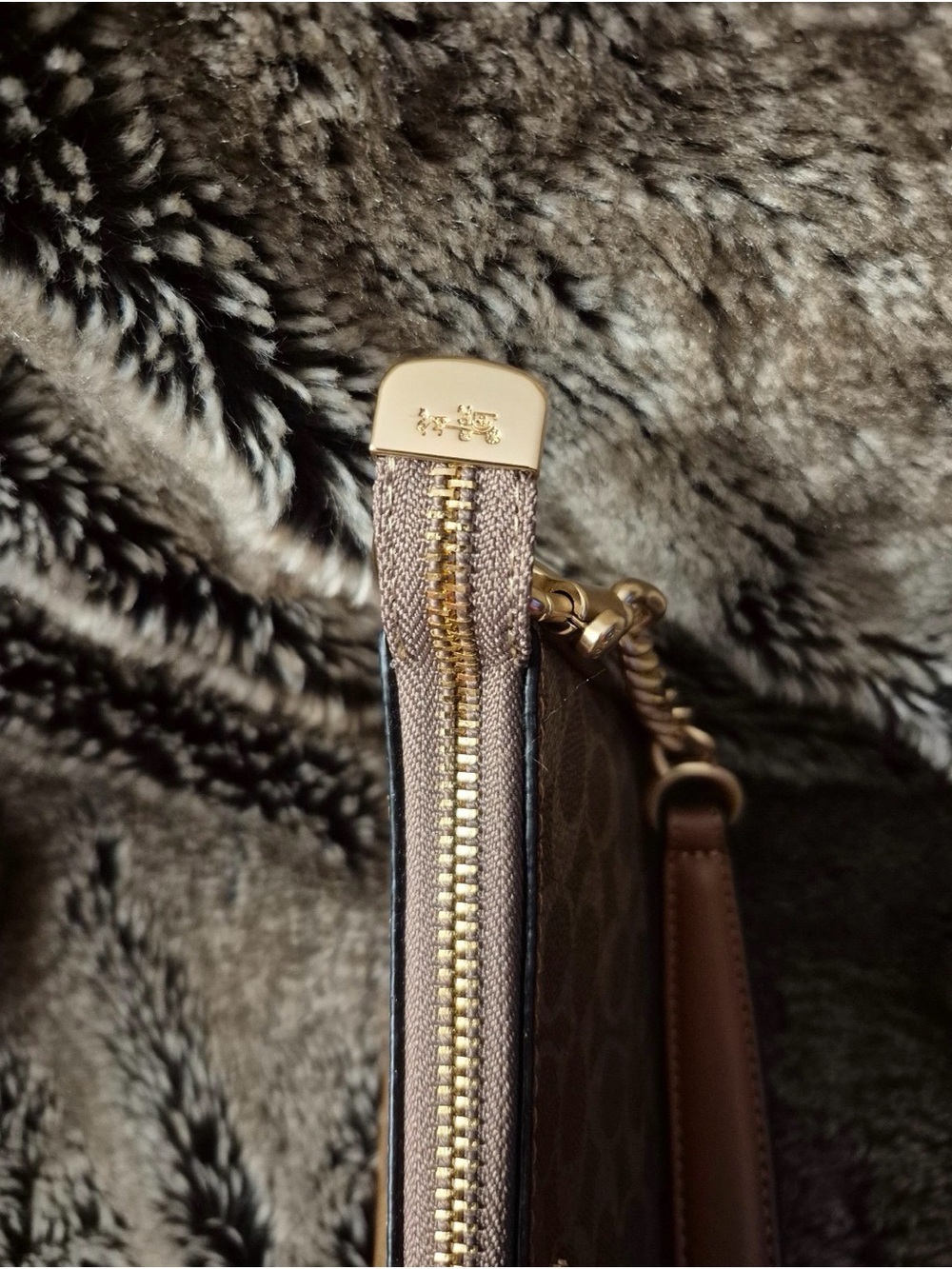 Coach Tan/Brown Signature Canvas Shoulder Bag with Gold Hardware - Picture 6 of 8